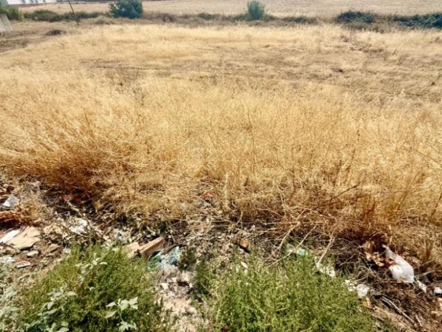 Terreno en venta en Zafra - Río Bodión, Extremadura