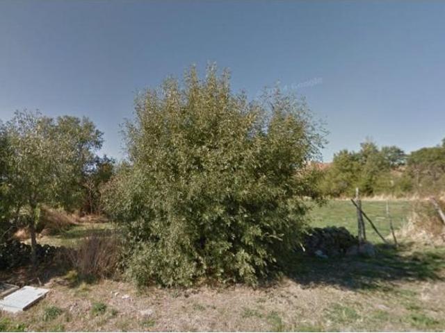 Local Comercial en venta en Sotosalbos, Sexmo de Posaderas