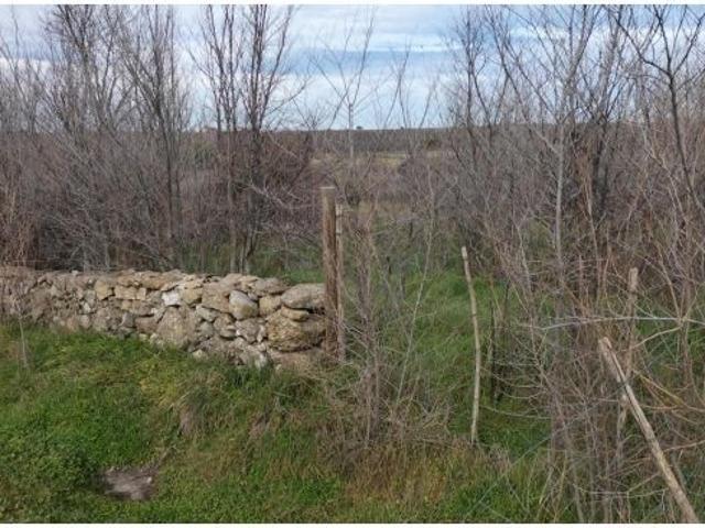 Local Comercial en venta en Sexmo de Posaderas, Turégano