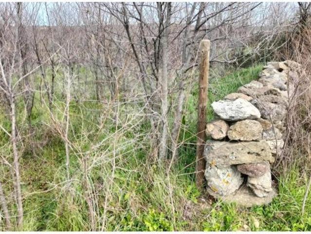 Local Comercial en venta en Sexmo de Posaderas, Turégano