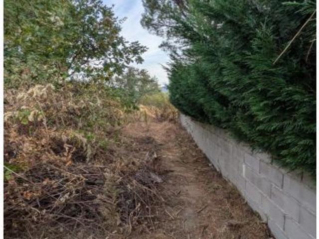 Local Comercial en venta en Sexmo de Lozoya, Valdemanco