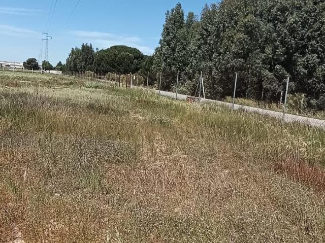 Terreno en venta en Villamanrique De La Condesa, Andalucía