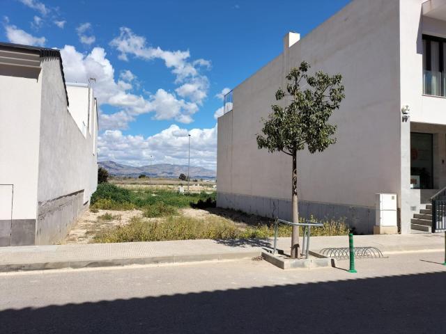 Terreno en venta en el Baix Segura / La Vega Baja, Valencia