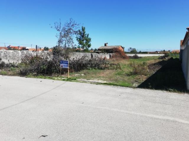 Terreno venda em Parada de Cima, Ponte De Vagos