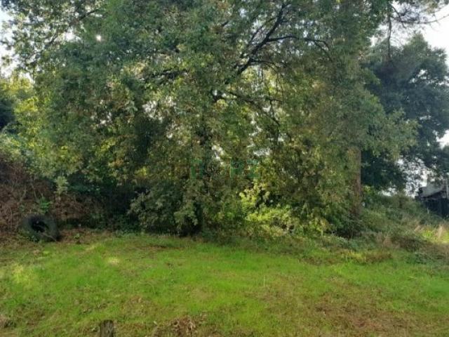 Terreno en venta en O Paraíso, Ourense