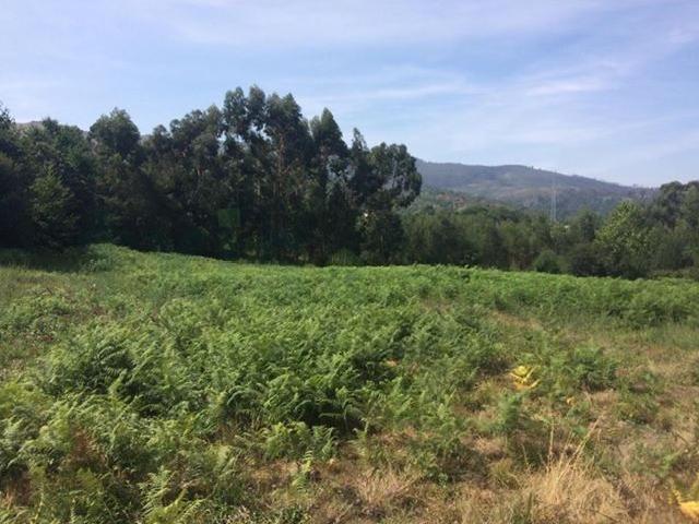 Terreno venda em Valença, Viana Do Castelo