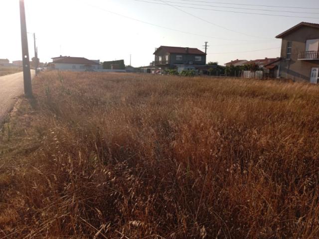Terreno venda em Ílhavo, Aveiro