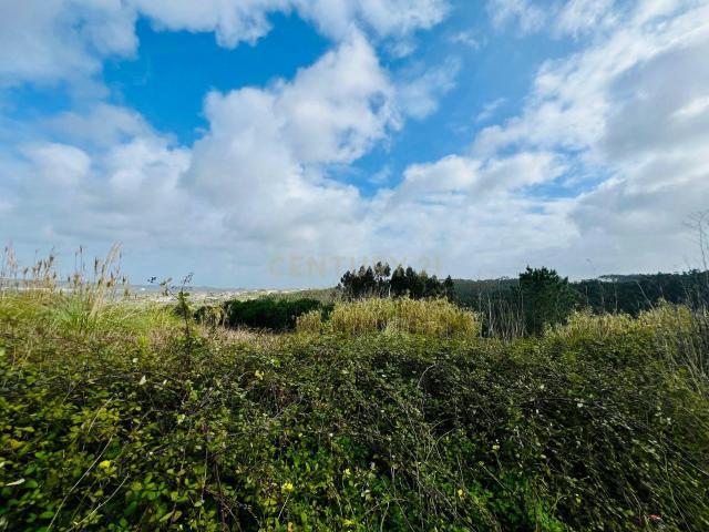 Terreno venda em Óbidos, Leiria