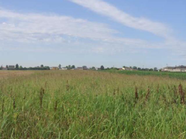 Terreno in vendita a Casalserugo