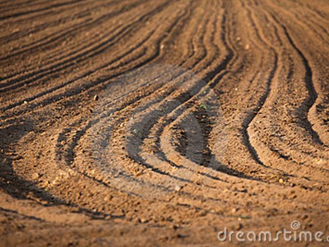 Terreno in vendita a Maserà Di Padova