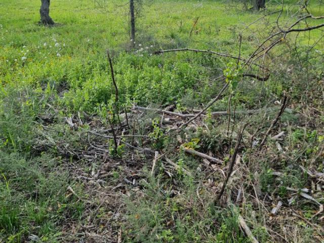 Terreno in vendita a Puglia, Bari