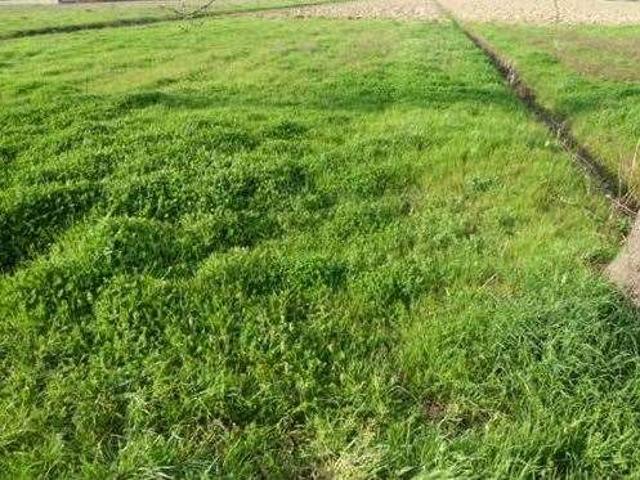 Terreno in vendita a Porcari, Toscana