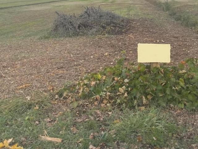 Terreno in vendita a Porcari, Toscana