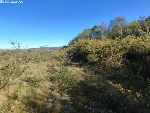 Local Comercial en venta en Ferrol, Galicia