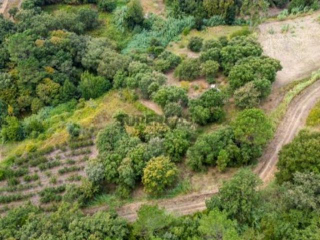 Terreno venda em Monte de Bois, Alcobaça
