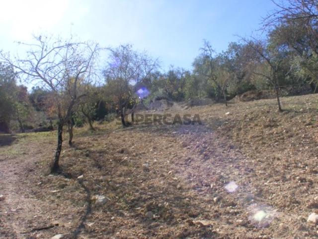 Terreno venda em Loulé, Faro