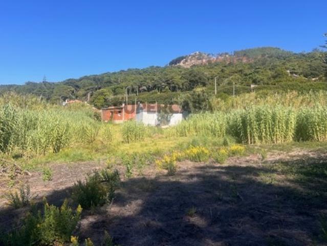 Terreno venda em Cascais, Lisboa