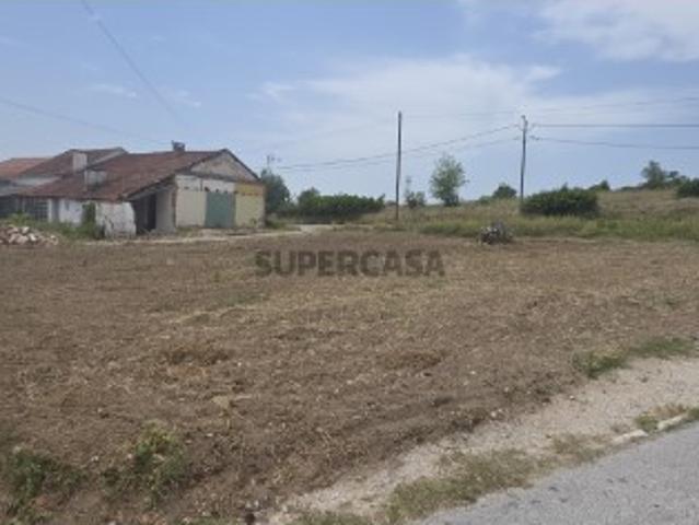 Terreno venda em Torres Novas, Santarém