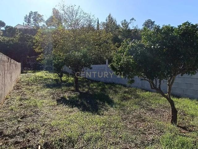 Terreno venda em Porto De Mós, Leiria