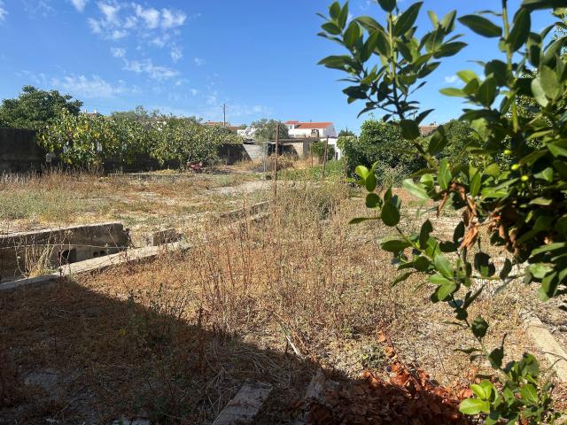 Terreno venda em Castro Verde, Beja