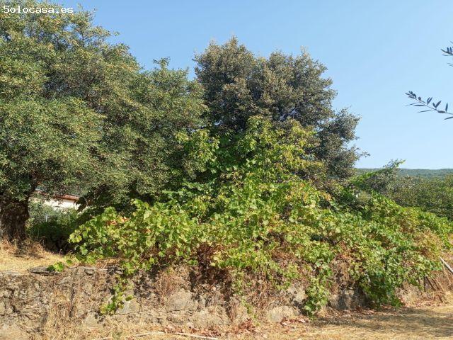 Local Comercial en venta en Poyales Del Hoyo, Castilla y León