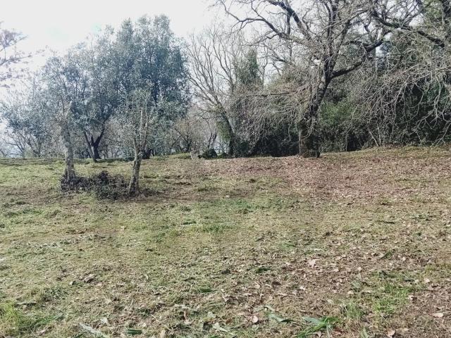 Terreno venda em Urbanização Enconsta do Sol, Soure