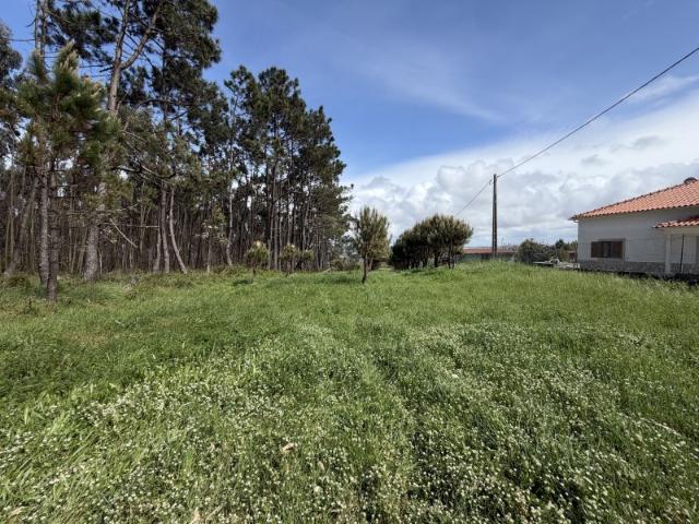 Terreno venda em Caldas Da Rainha, Leiria