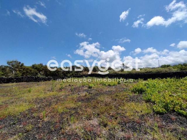 Terreno venda em Açores, Madalena