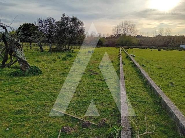 Terreno venda em Anadia, Aveiro