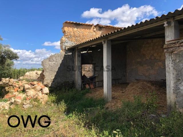 Terreno venda em Santarém