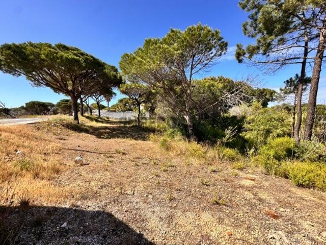 Terreno venda em Loulé, Faro