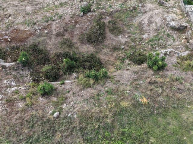 Terreno venda em Estrada, Vila Nova de Famalicão