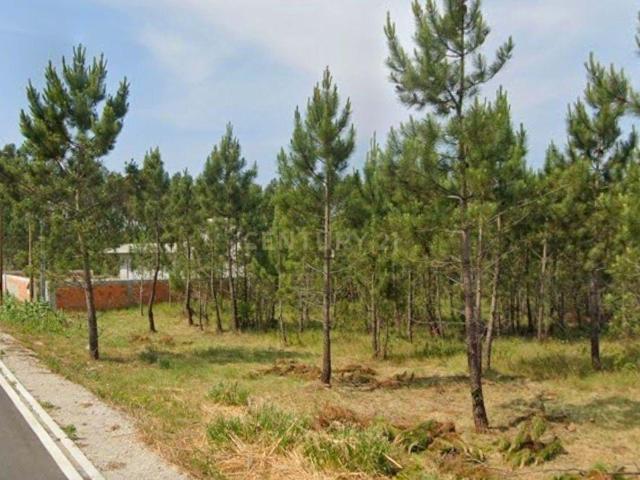 Terreno venda em Ponte De Vagos, Aveiro