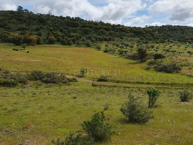 Terreno venda em Redondo, Évora