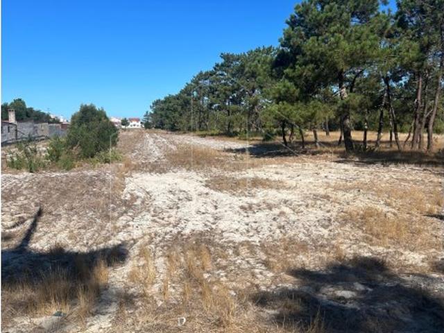 Terreno venda em Gafanha do Areão, Ponte De Vagos