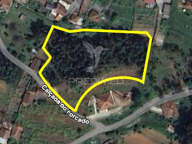 Terreno venda em Campo da Feira, Amarante