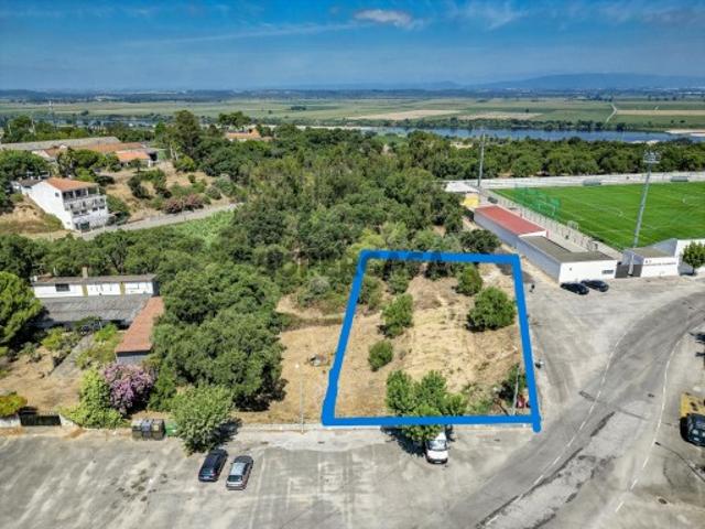 Terreno venda em Chamusca e Pinheiro Grande, Chamusca