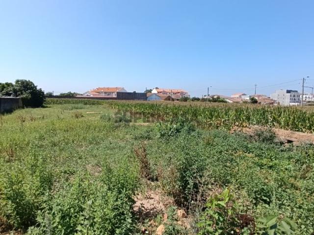 Terreno venda em Oliveira Do Bairro, Aveiro