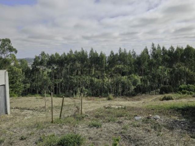 Terreno venda em Olho Marinho, Óbidos