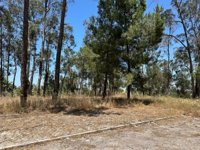 Terreno venda em Azeitão (São Lourenço e São Simão), Setúbal