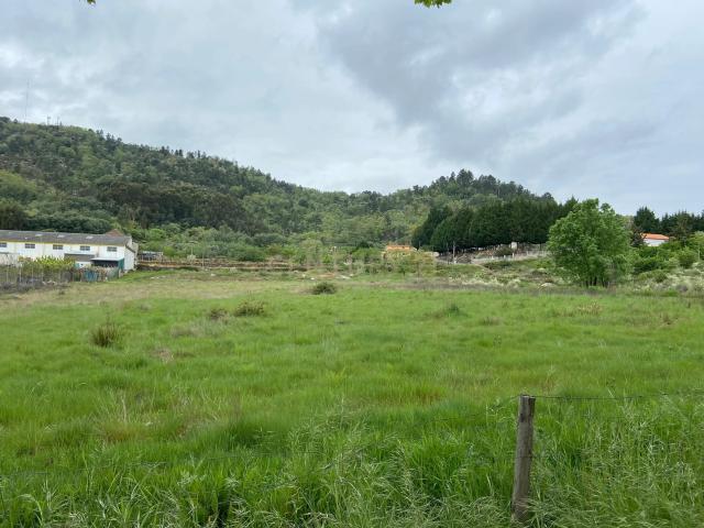 Terreno venda em Castelo Branco