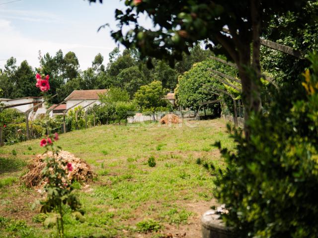 Terreno venda em Milhundos, Marecos