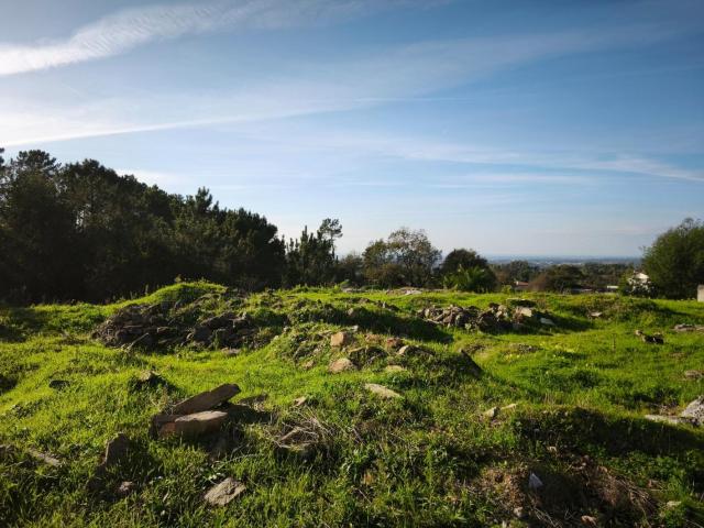 Terreno venda em Oliveira De Azeméis, Aveiro
