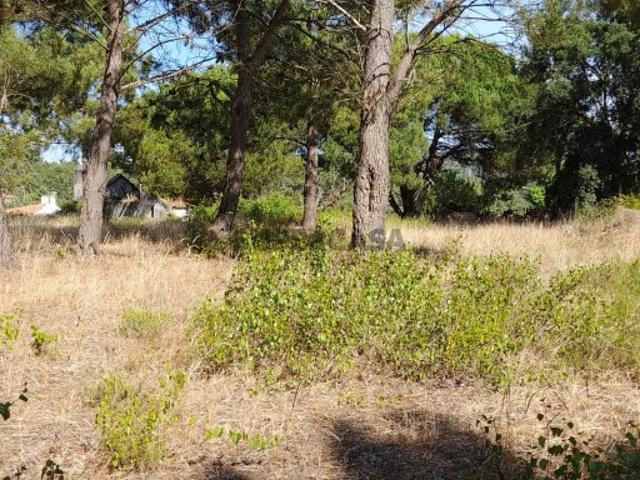 Terreno venda em Sesimbra (Castelo), Sesimbra