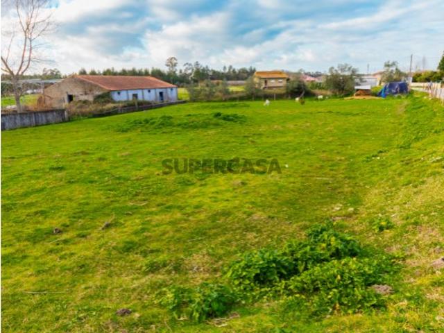 Terreno venda em Montemor-o-velho, Coimbra