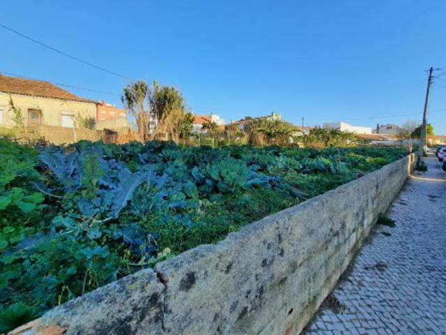 Terreno venda em Casal dos Passarinhos, Sintra