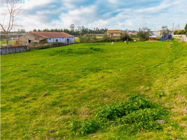 Terreno venda em Casal do Gaio, Montemor-o-velho