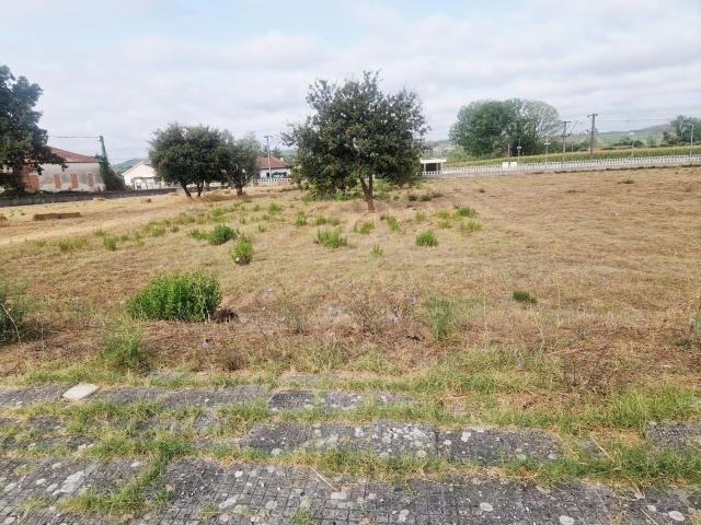 Terreno venda em Pombal, Pelariga