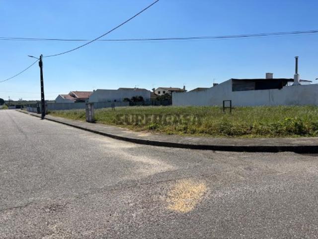 Terreno venda em Alpiarça, Santarém