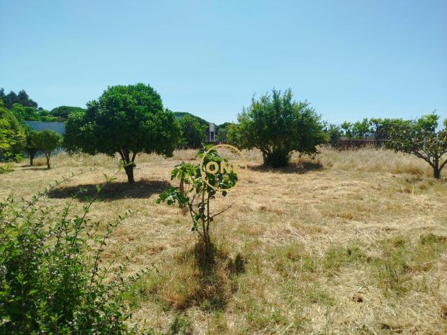 Terreno venda em Moita, Setúbal